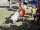 Bohnentalfünfkampf 2014_38